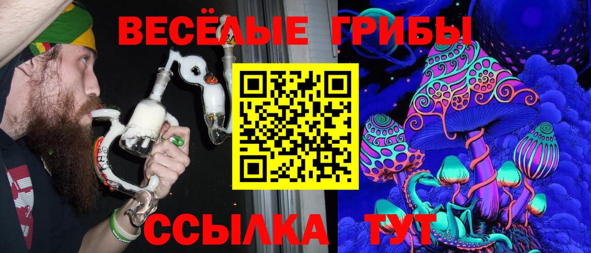 Псилоцибиновые грибы Psilocybine cubensis  Вход с VPN  Строитель 