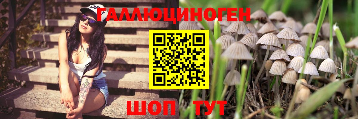 Псилоцибиновые грибы мицелий Строитель
